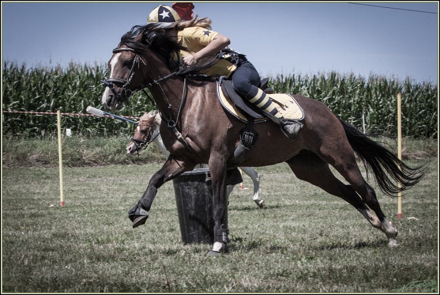 Mounted Games 166